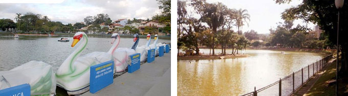 Lago dos Patos Guarulhos Fotos