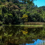 Parque Nacional da Cantareira