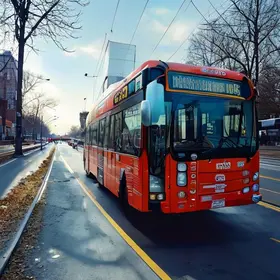ônibus intermunicipais