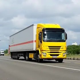 manobrista de carreta