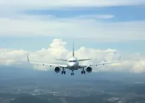 voos em Congonhas e Guarulhos
