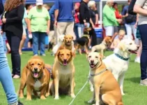 Rotary Pet Day 2026