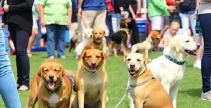 Rotary Pet Day 2026