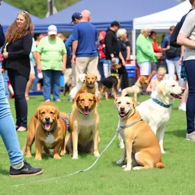 Rotary Pet Day 2026